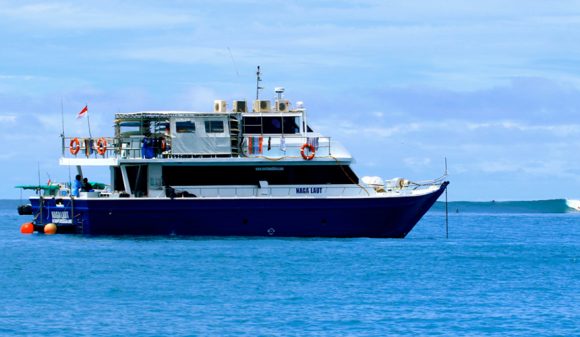 Naga Laut Charter