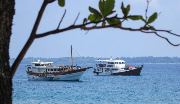 D’Bora Charter